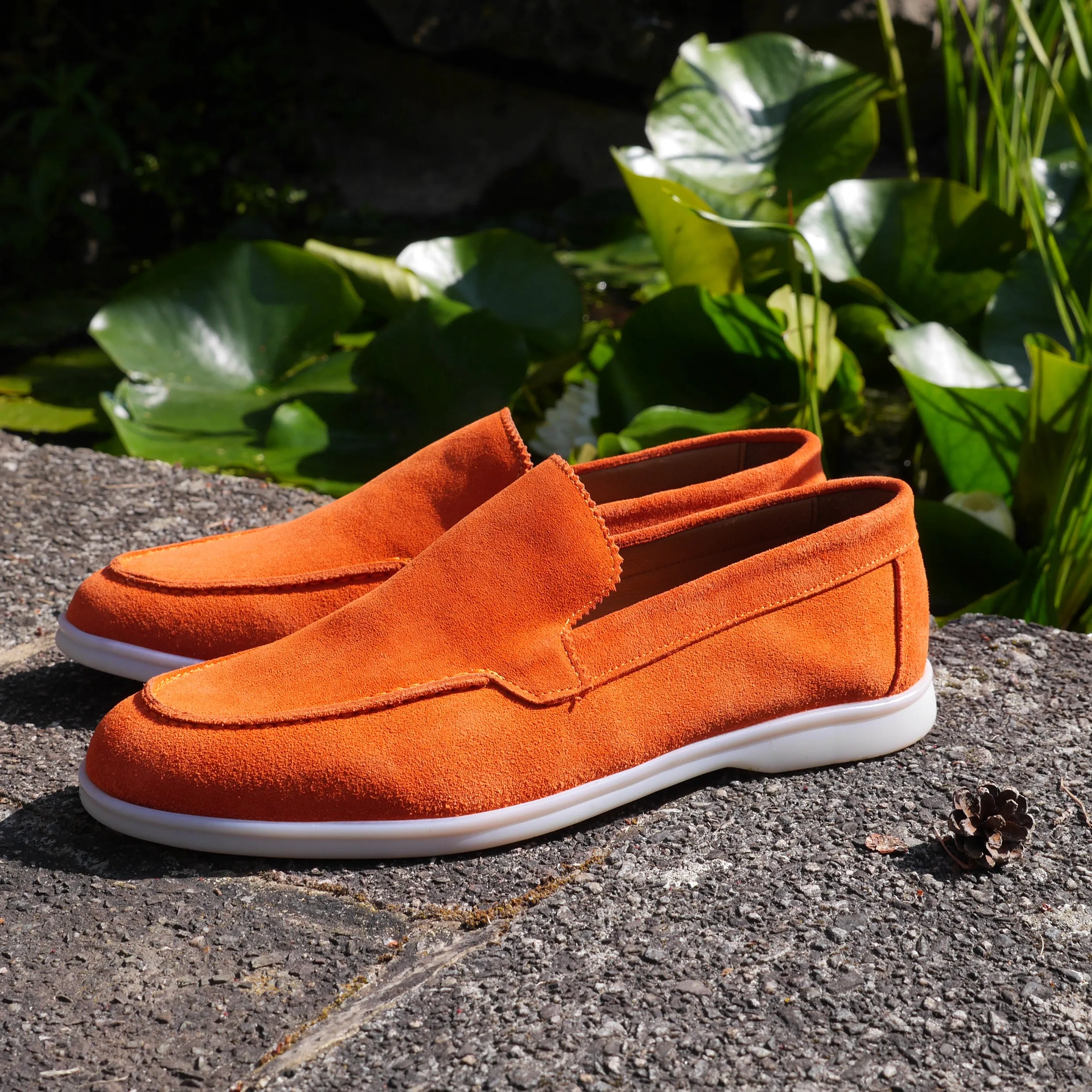 6398 - Coral