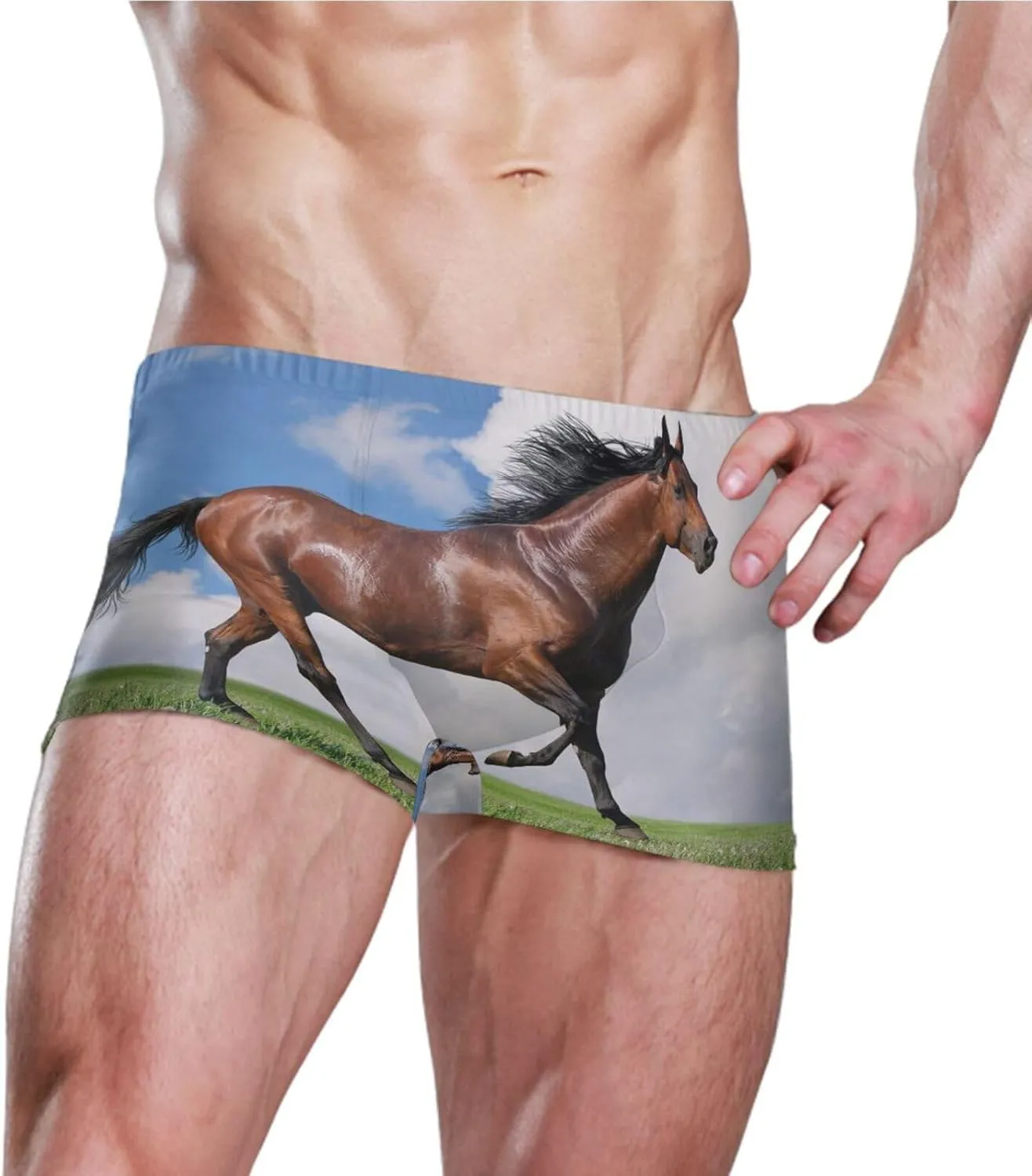 Men Pool Swimwear, Swim Brief Beach Bikini Thong Swimsuit Shorts(S-3XL)