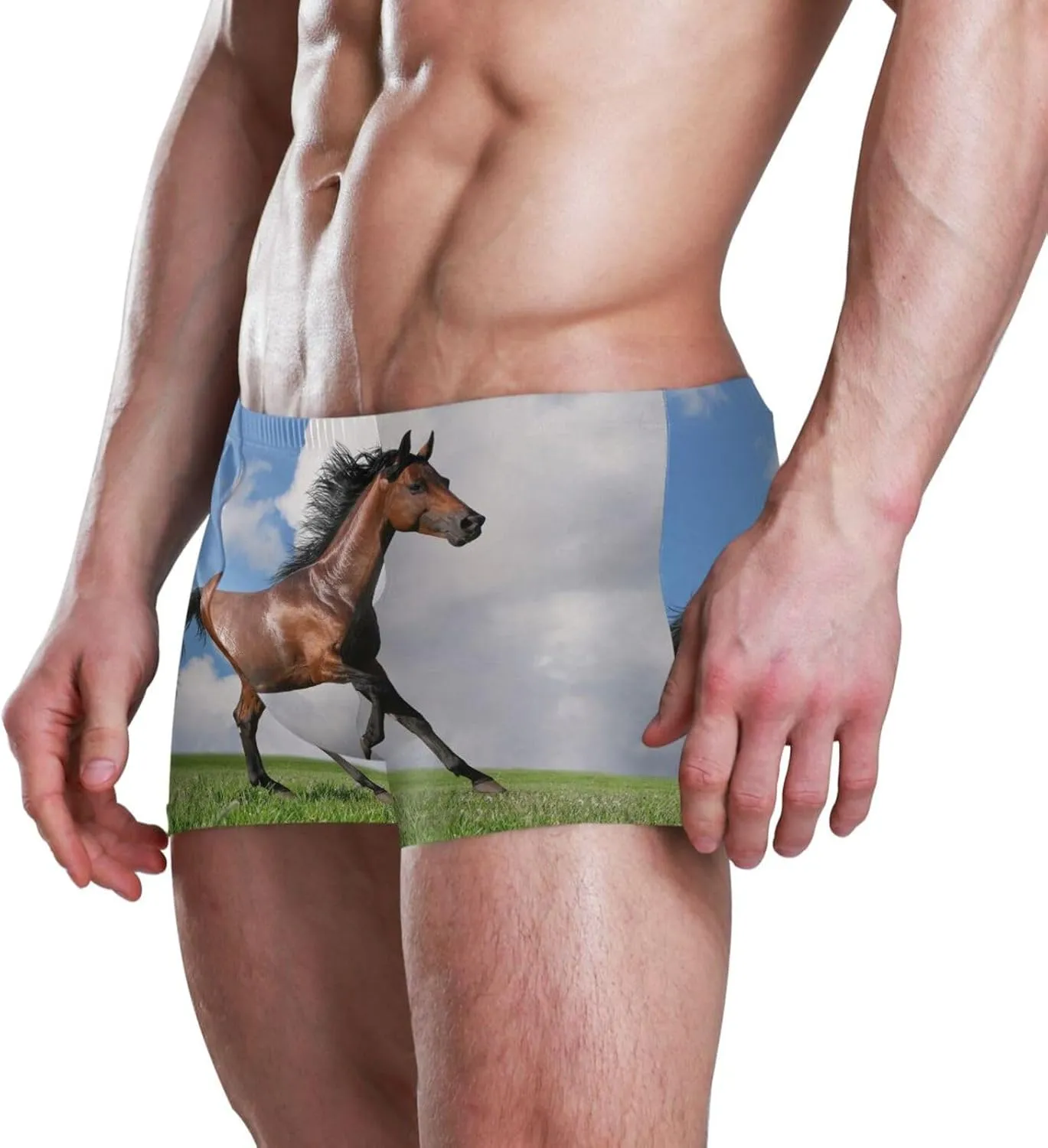 Men Pool Swimwear, Swim Brief Beach Bikini Thong Swimsuit Shorts(S-3XL)