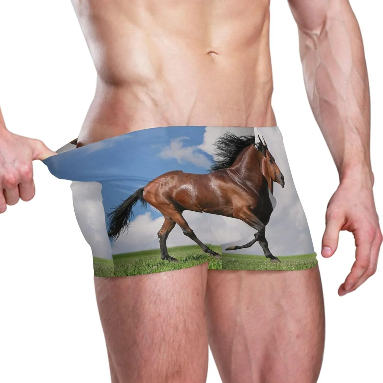 Men Pool Swimwear, Swim Brief Beach Bikini Thong Swimsuit Shorts(S-3XL)