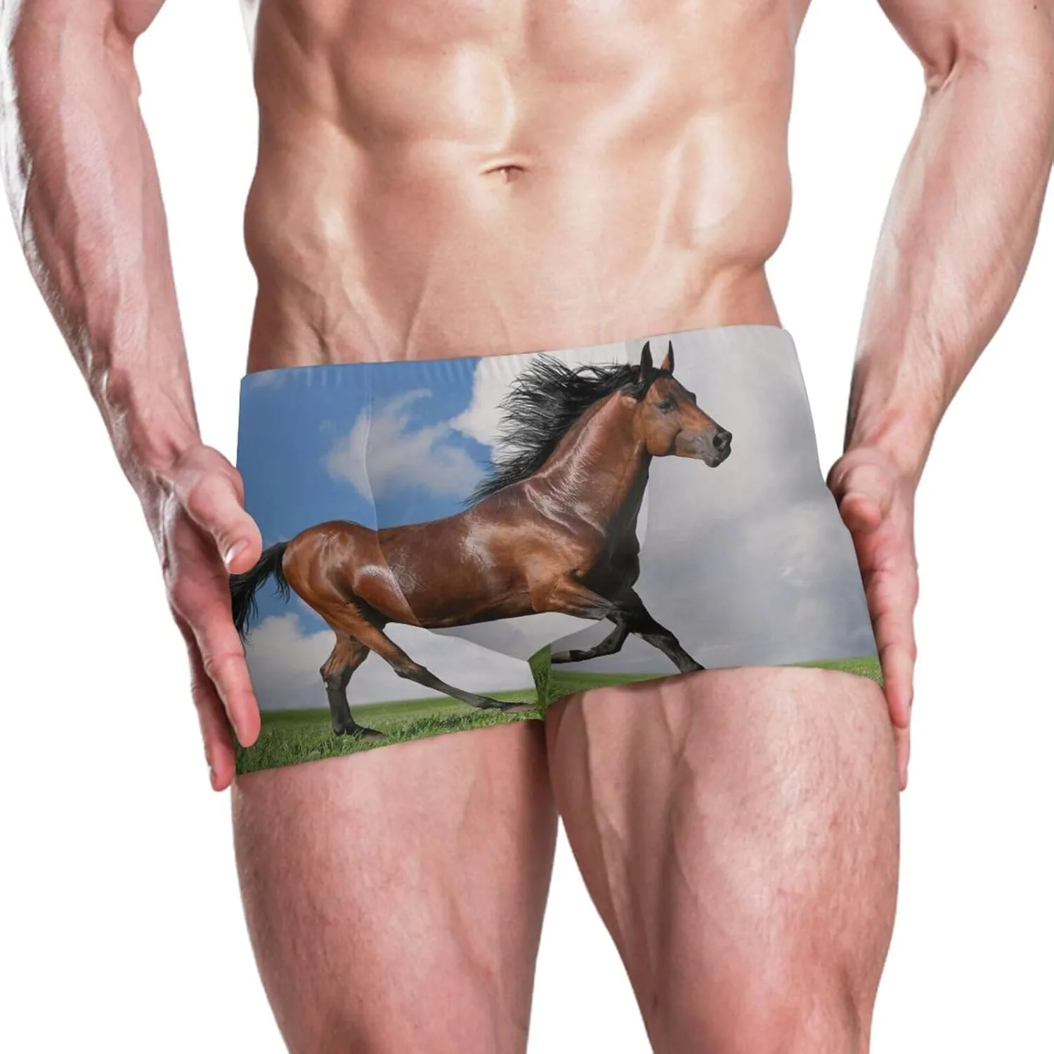 Men Pool Swimwear, Swim Brief Beach Bikini Thong Swimsuit Shorts(S-3XL)